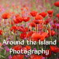 Around the Island Photography